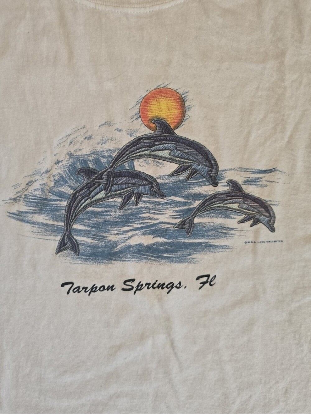 Gildan White Short Sleeve Tarpon Springs, FL Tee with Blue Dolphin Graphic
